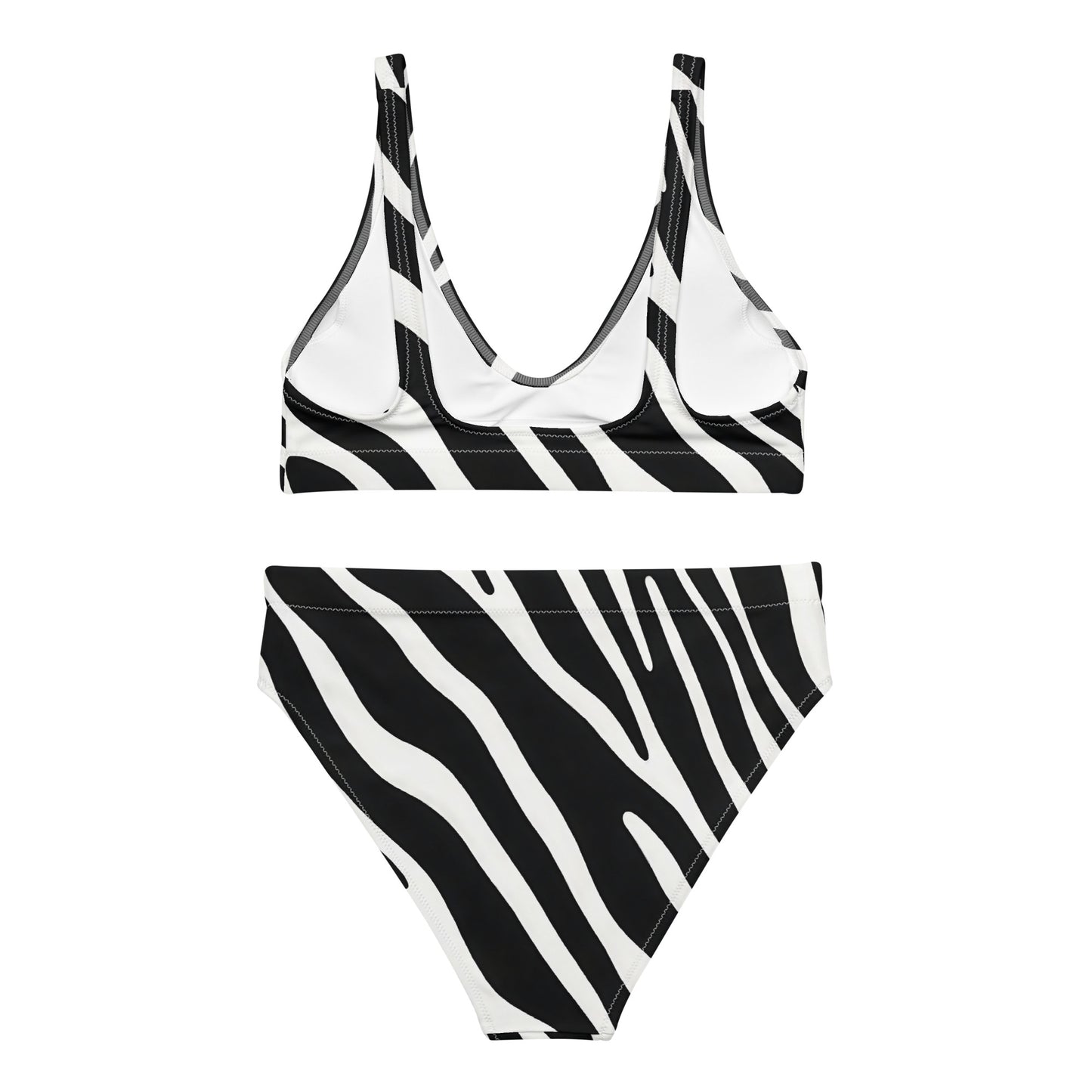 Zebra 2PC Swimsuit