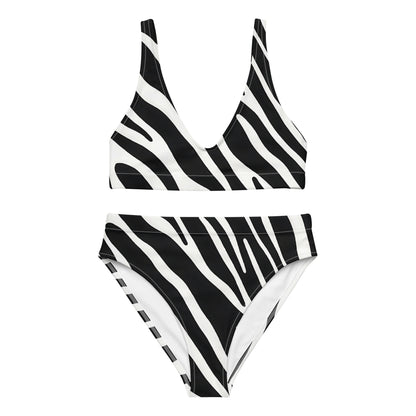 Zebra 2PC Swimsuit